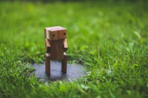 Amazon robot