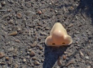 Nose on the ground