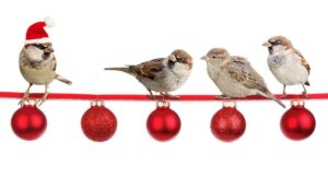 Service Portfolio and DevOps