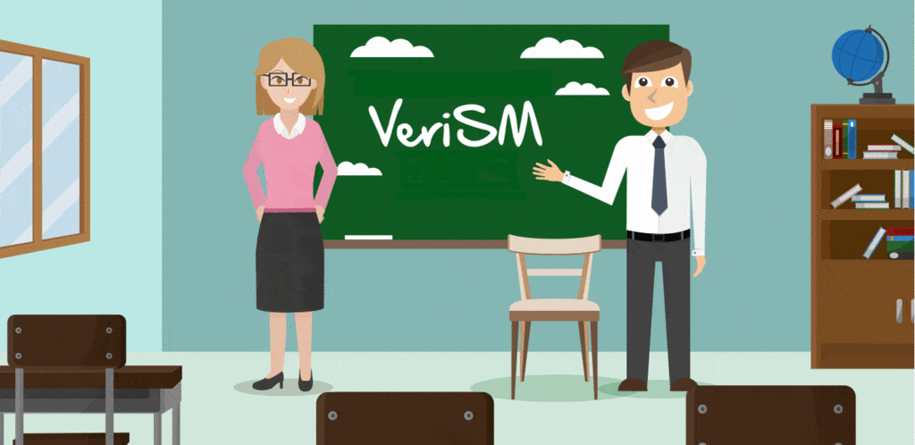 Understanding VeriSM