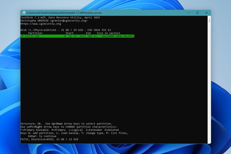 Deleted Partition Actions
